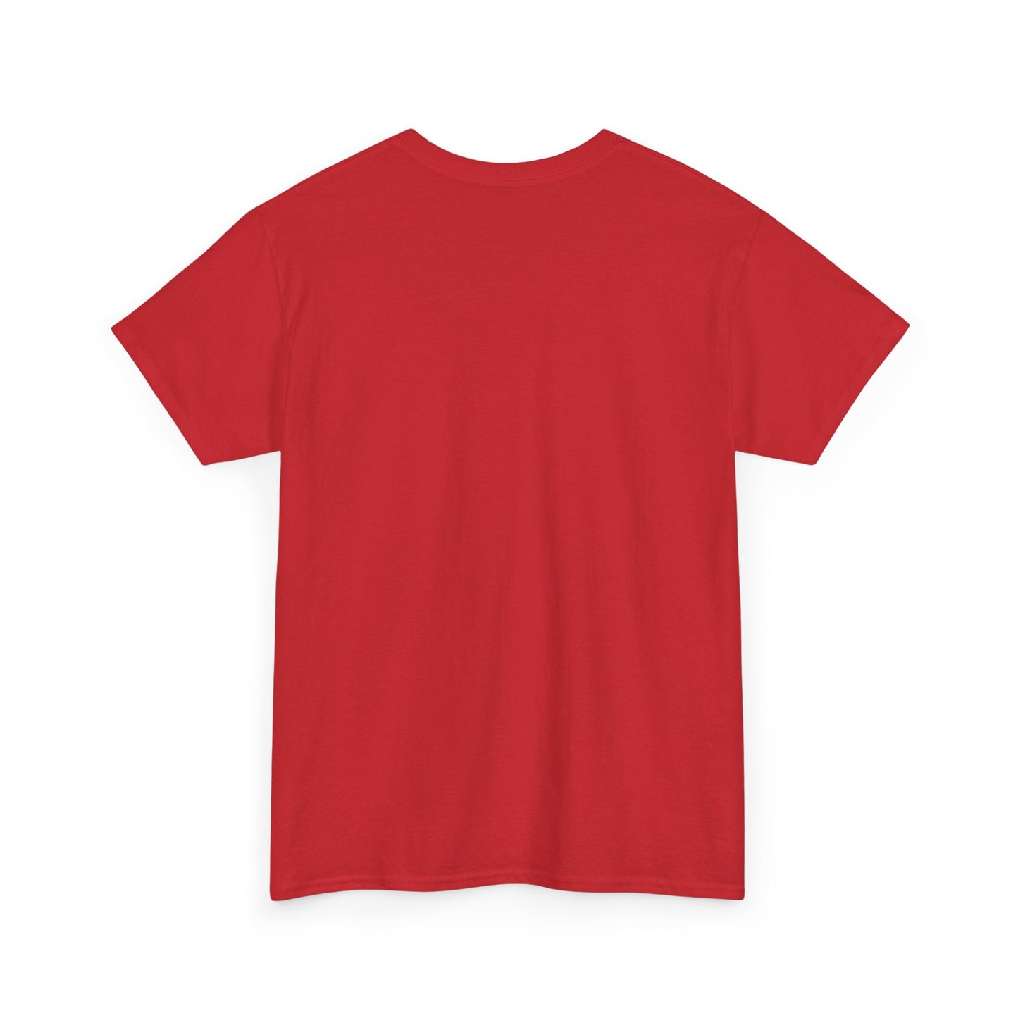 Unisex Introvert Tee