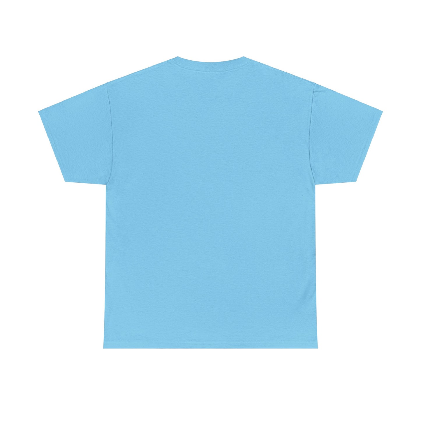 Unisex Introvert Tee
