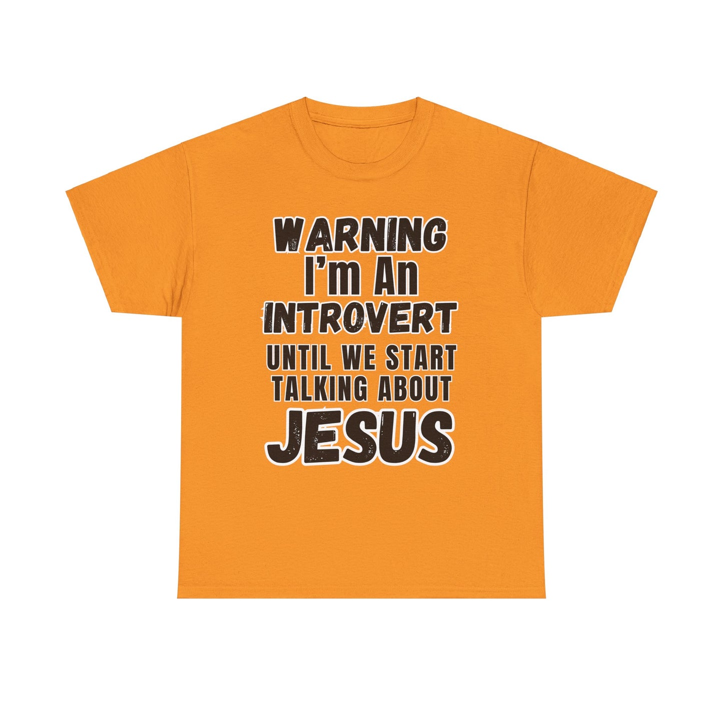Unisex Introvert Tee