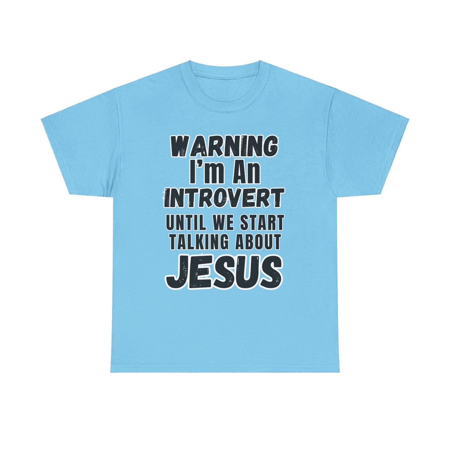 Unisex Introvert Tee
