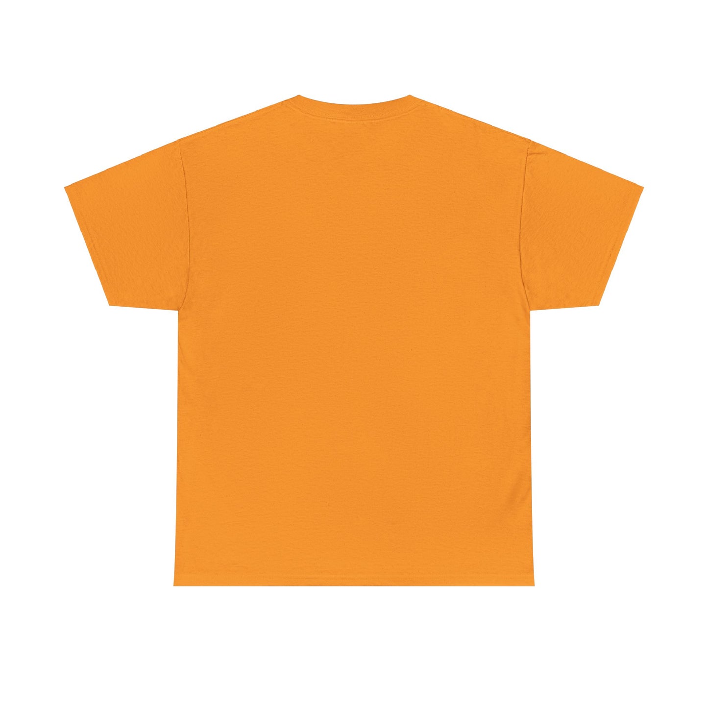 Unisex Introvert Tee