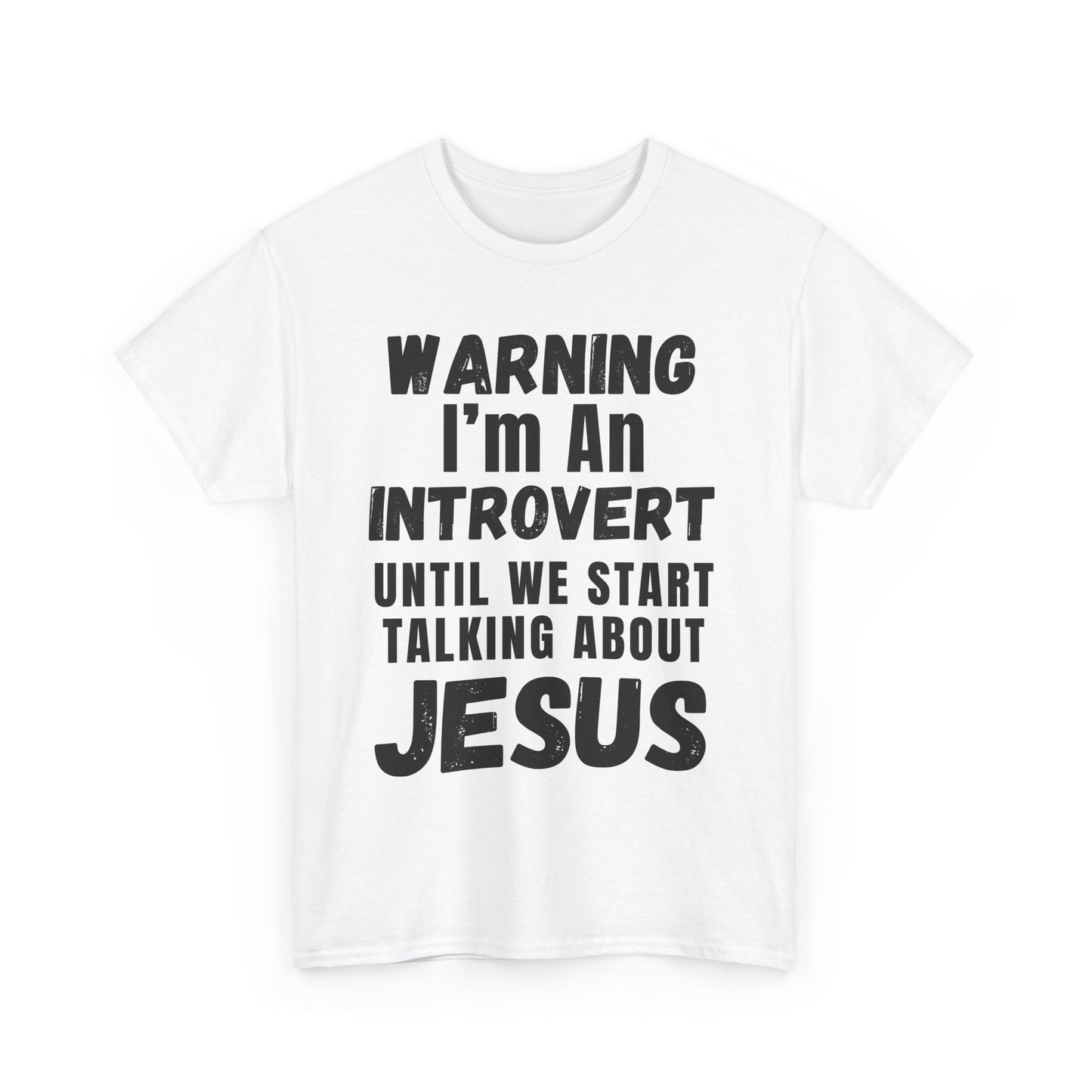 Unisex Introvert Tee