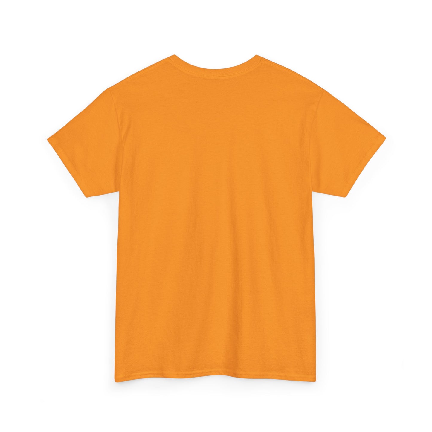 Unisex Introvert Tee