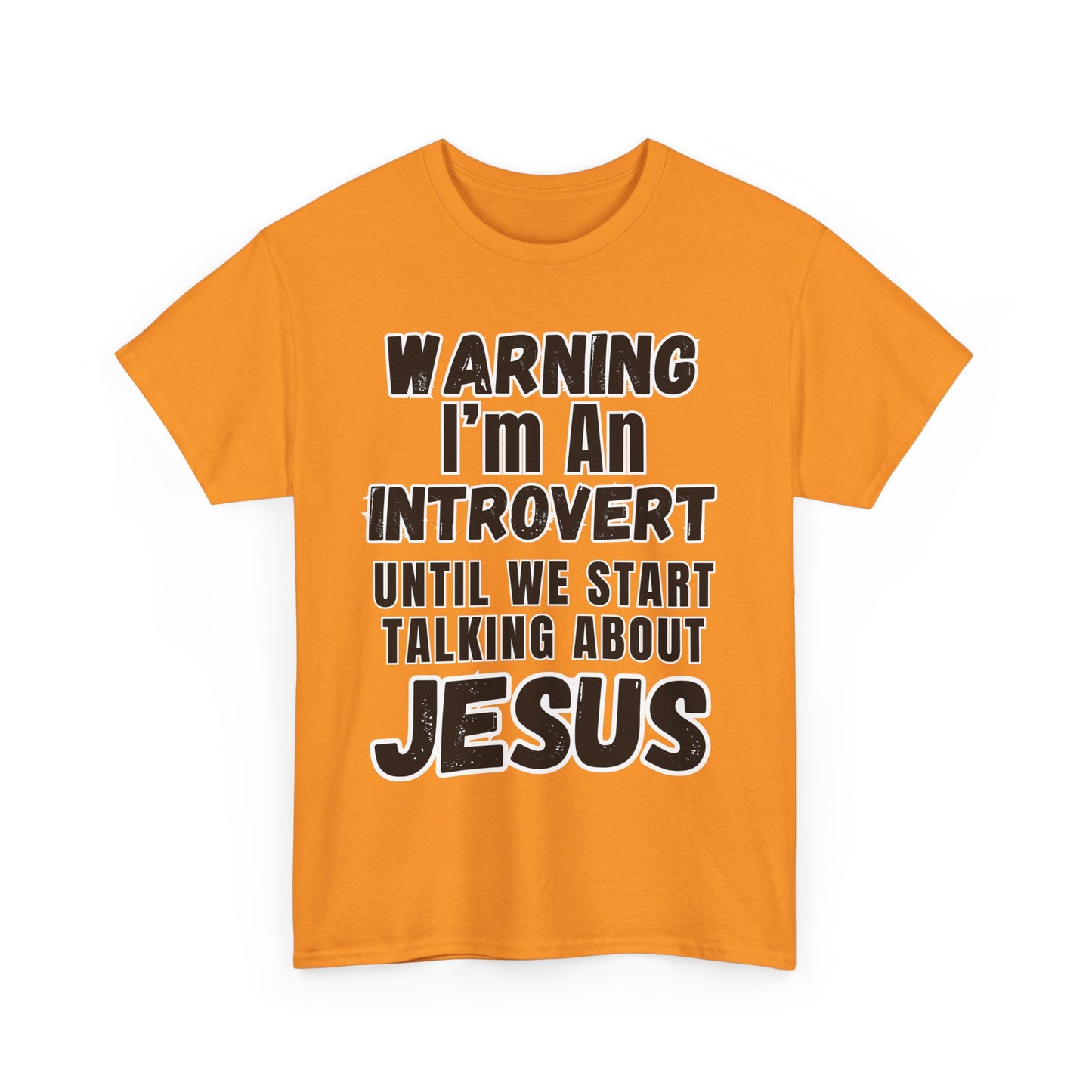 Unisex Introvert Tee