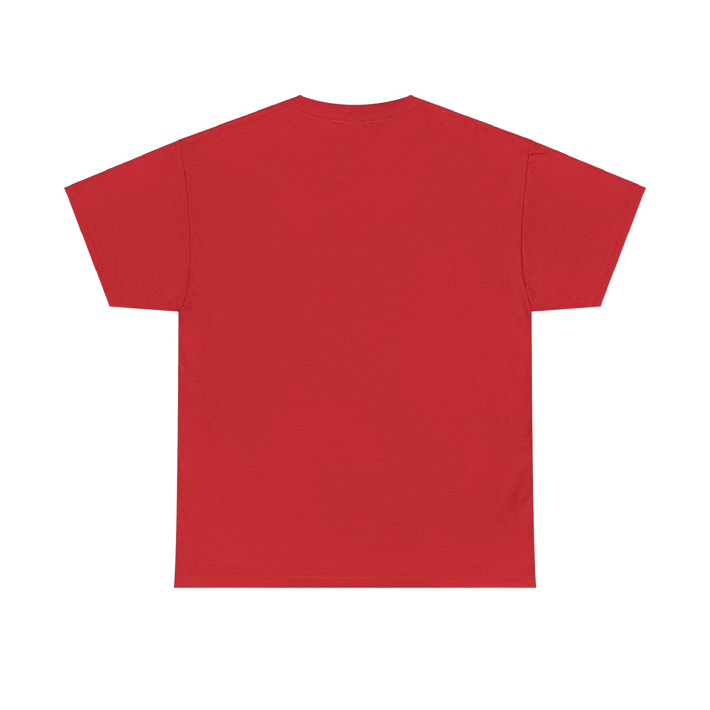 Unisex Introvert Tee