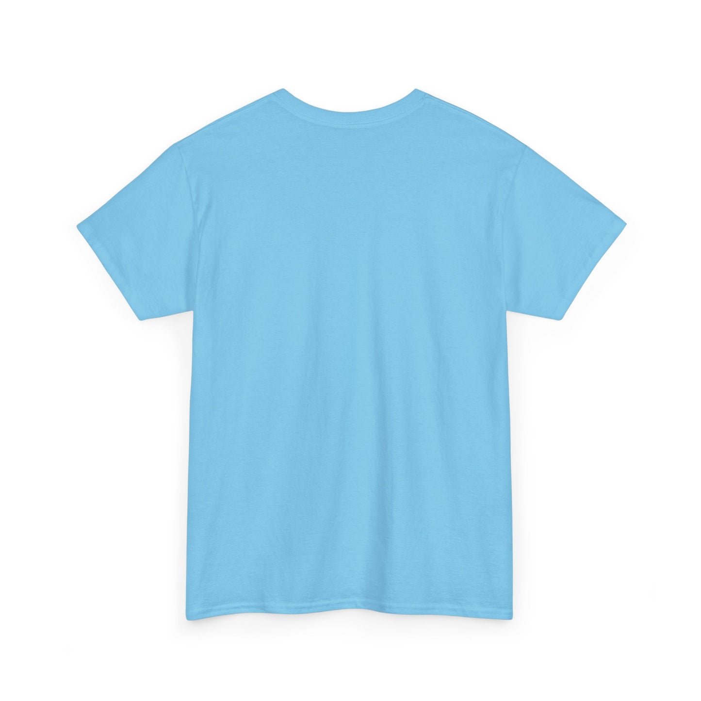 Unisex Introvert Tee