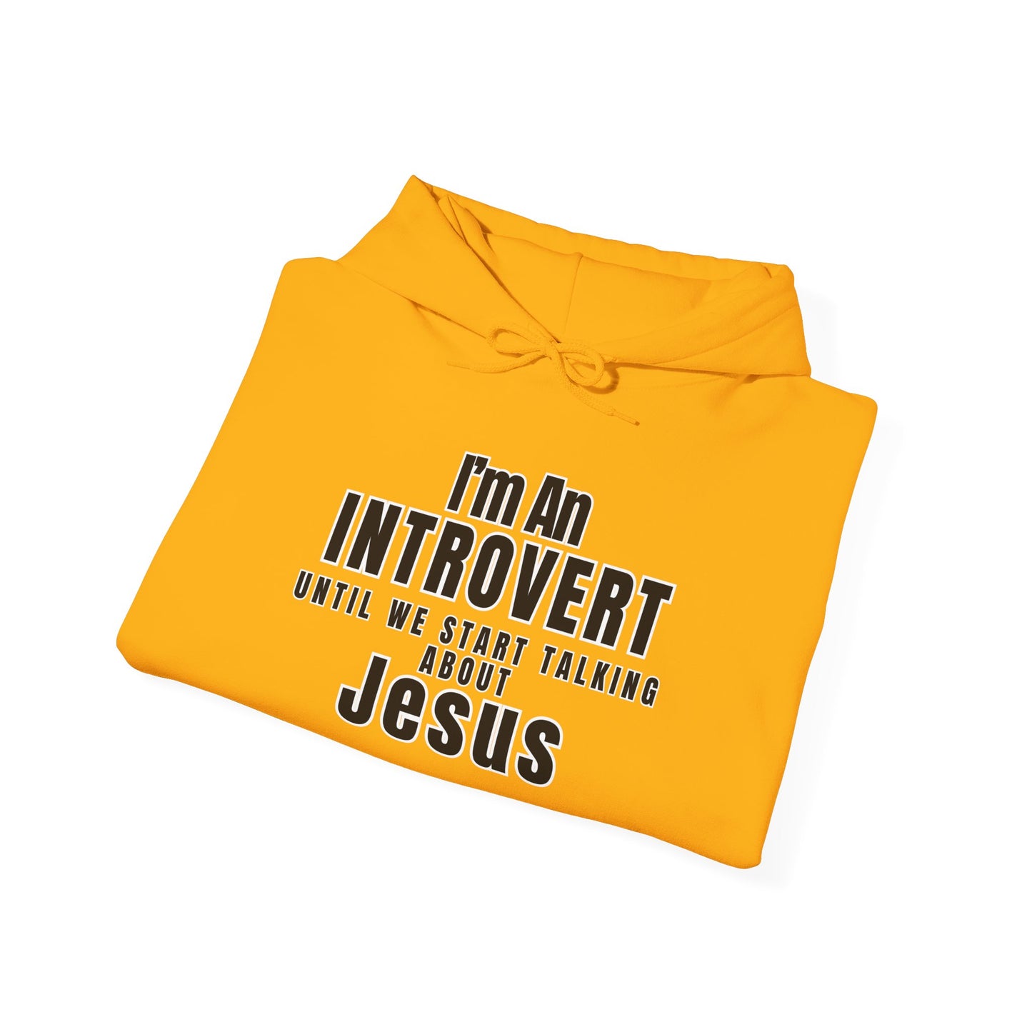 Introvert Hooded Sweatshirt