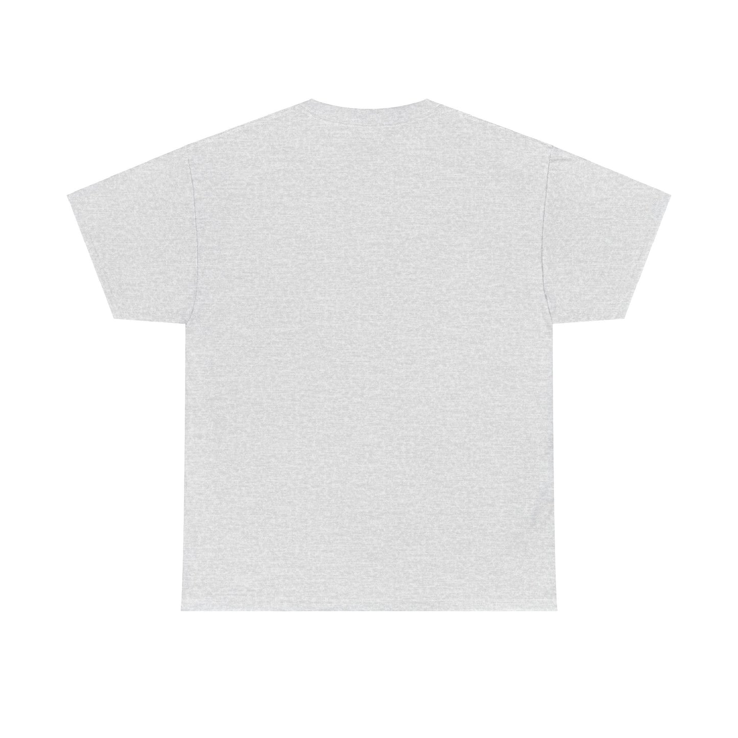 Unisex Introvert Tee