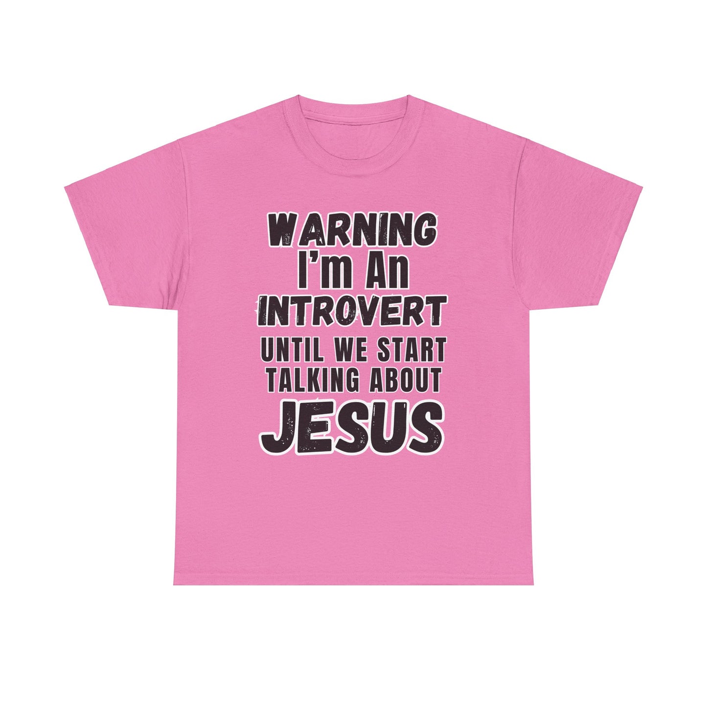 Unisex Introvert Tee