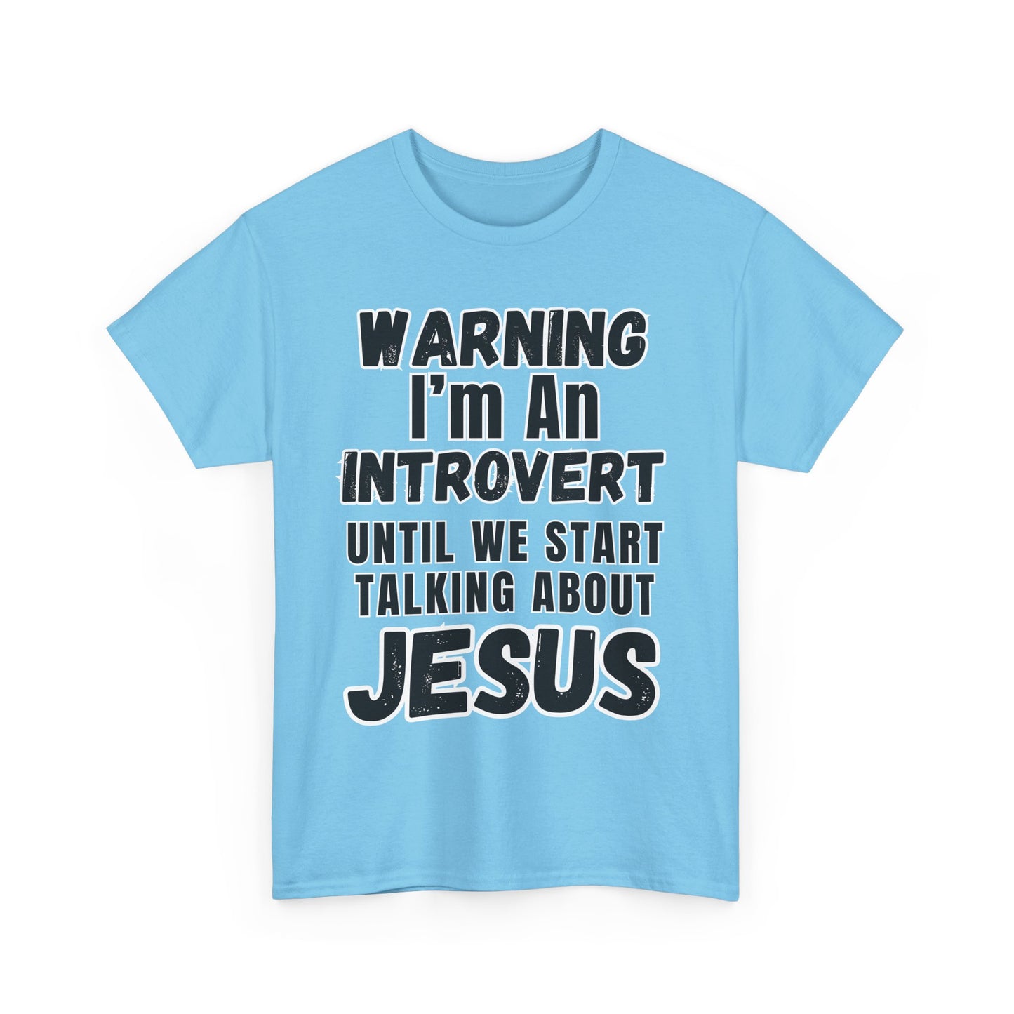 Unisex Introvert Tee